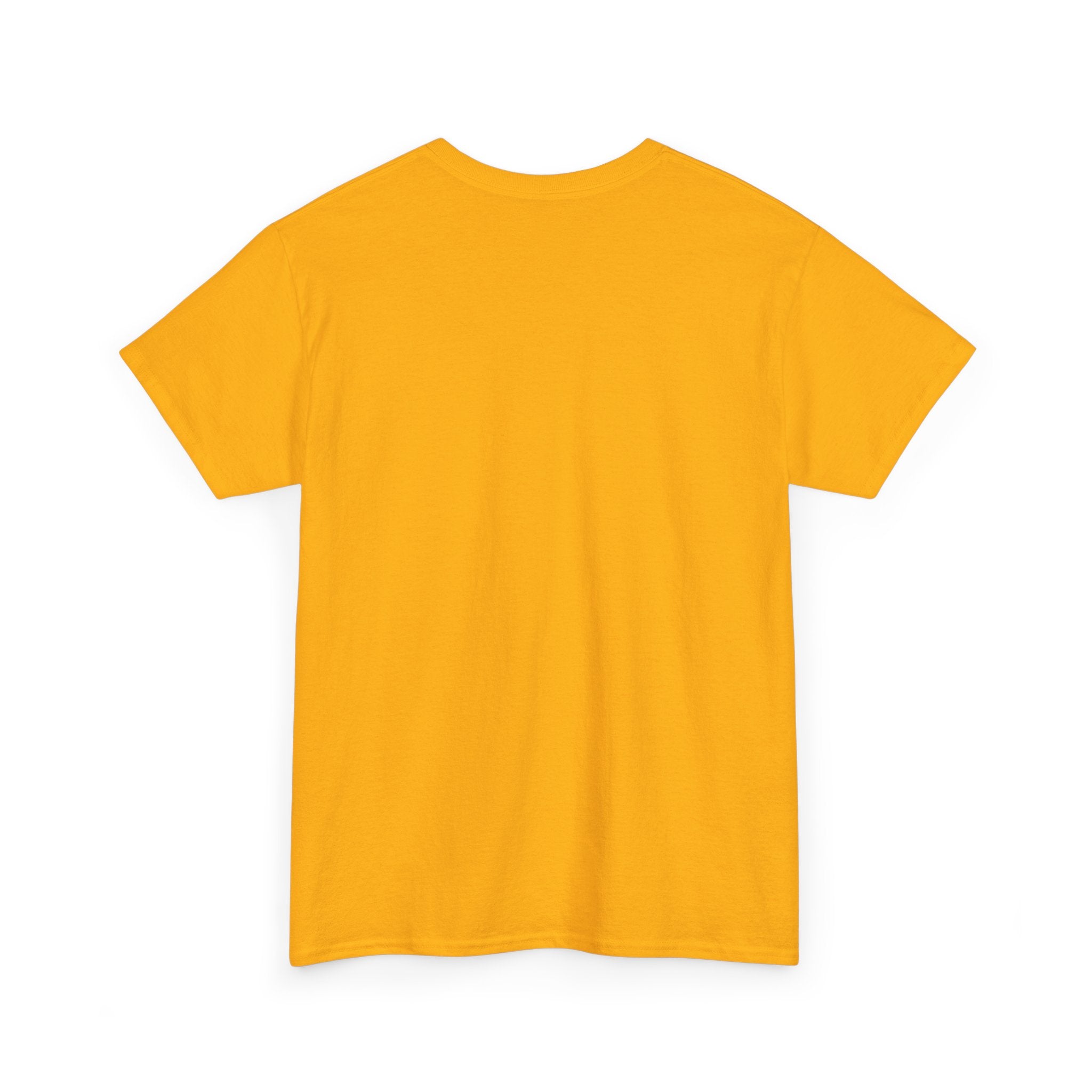 'He Who Has the Gold Makes the Rules' Vintage Justice Tee -- Gildan 5000