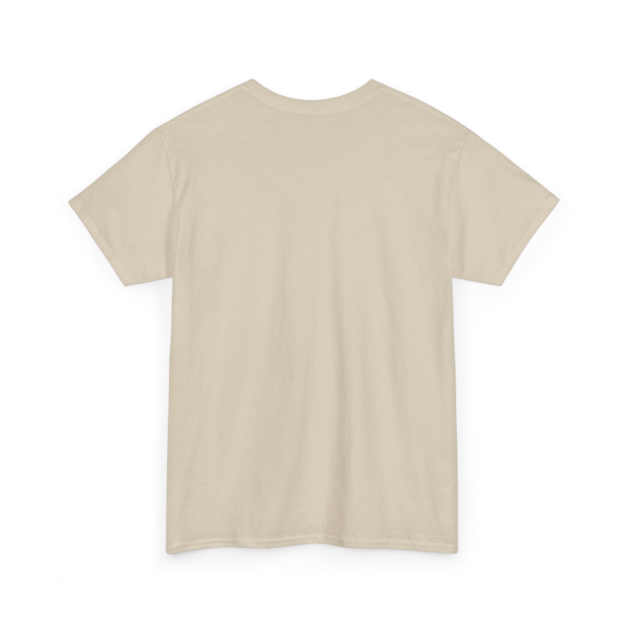 'He Who Has the Gold Makes the Rules' Vintage Justice Tee -- Gildan 5000