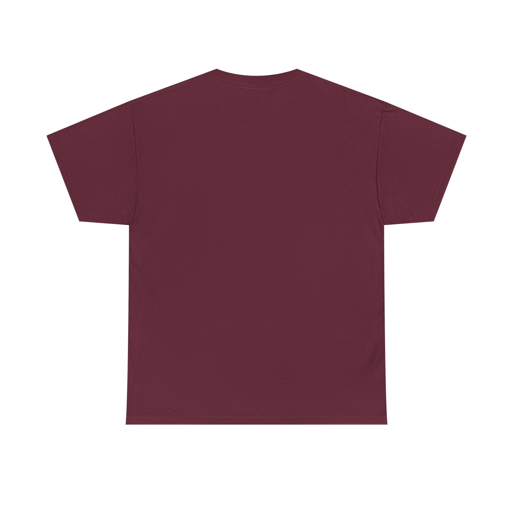 "Carbon Rules For You, Frequent Flyer For Me" Funny Pilot/Travel Shirt -- Gildan 5000